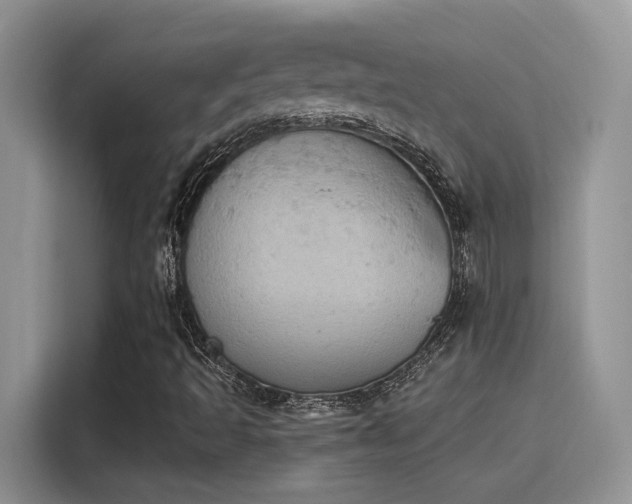 X0000115591493200911171019