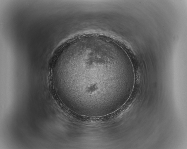 X0000115591494200911171019