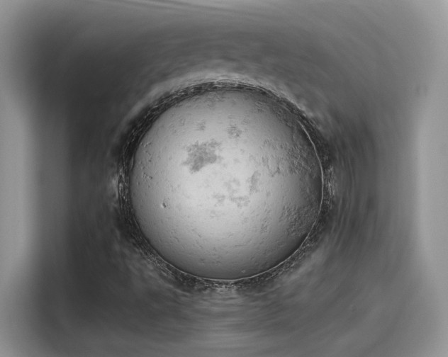 X0000115591495200911171019