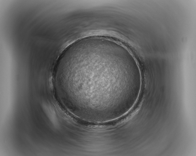 X0000115591497200911171019