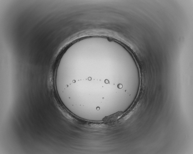 X0000115591498200911171019