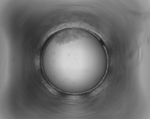 X0000115591499200911171019