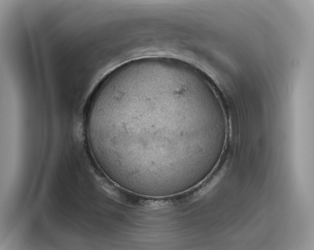 X0000115591501200911171019