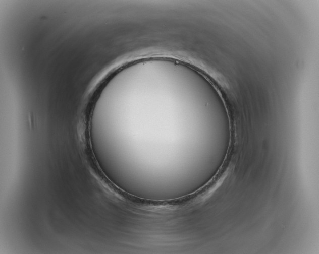 X0000115591502200911171019