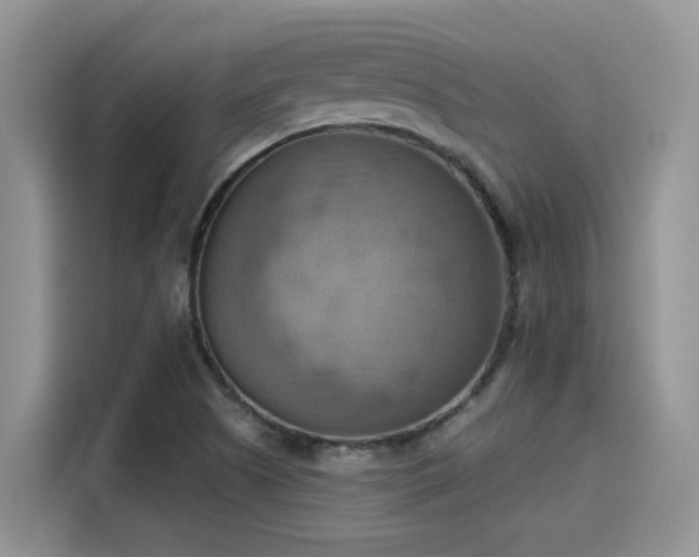 X0000115591505200911171019