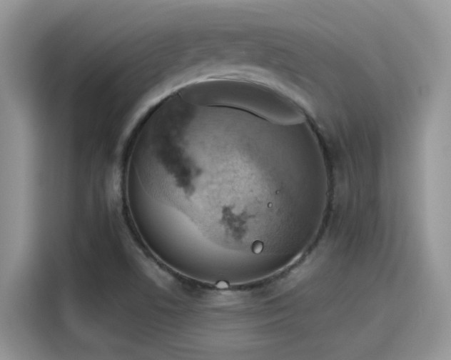 X0000115591506200911171019