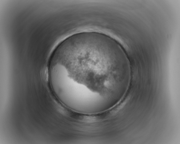 X0000115591509200911171019