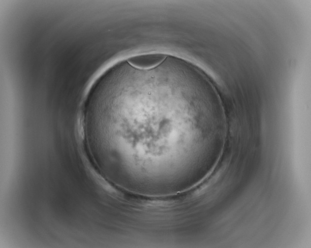 X0000115591510200911171019
