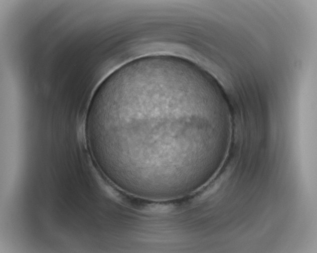 X0000115591513200911171019