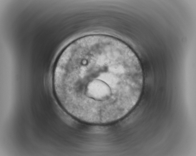 X0000115591514200911171019
