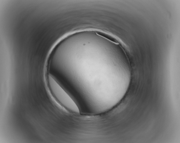X0000115591518200911171019