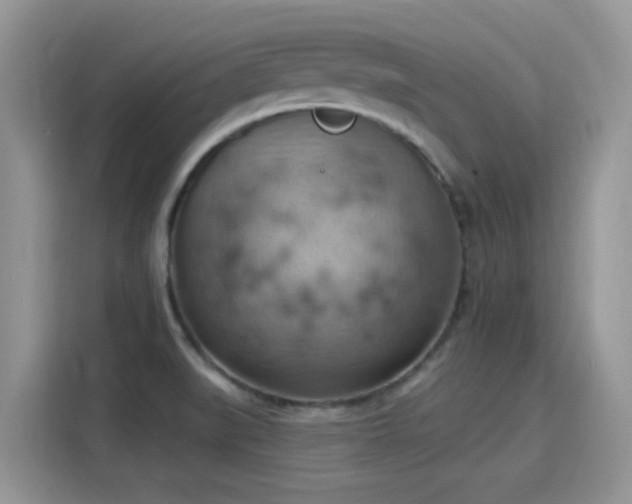 X0000115591519200911171019