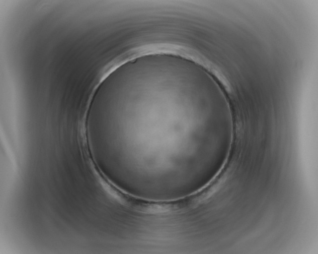 X0000115591521200911171019