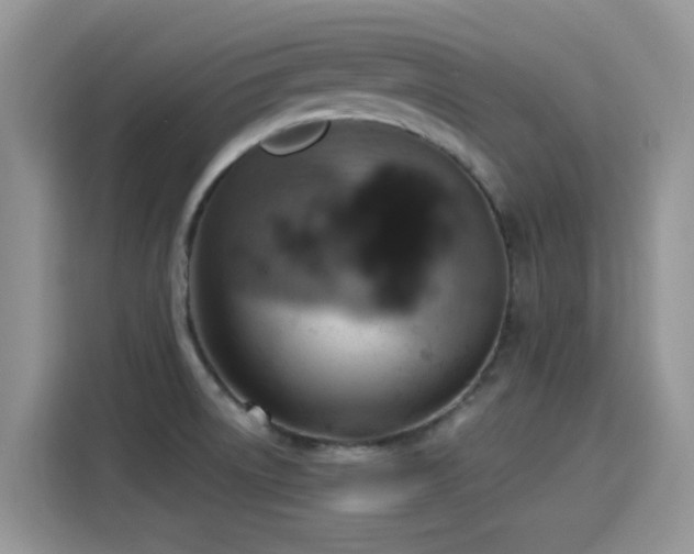X0000115591522200911171019