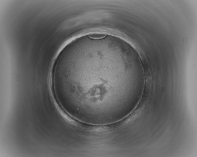 X0000115591523200911171019