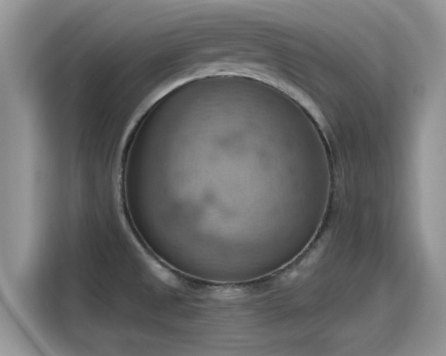 X0000115591525200911171019
