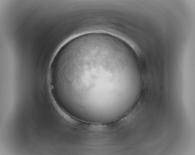 X0000115591526200911171019