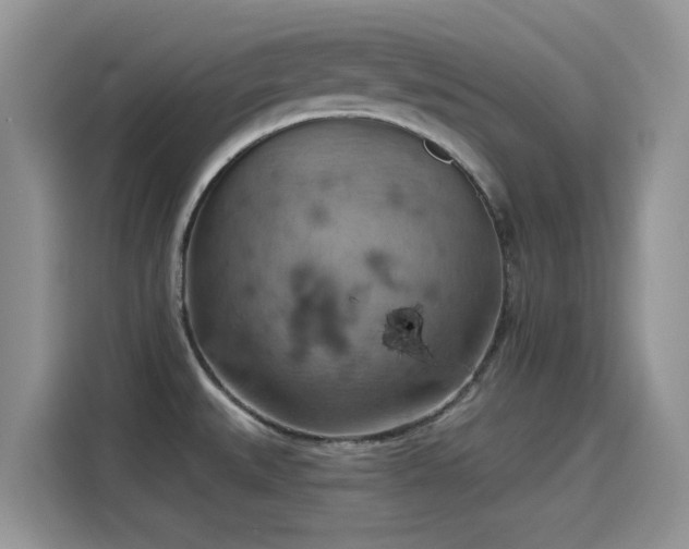 X0000115591527200911171019