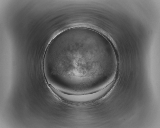 X0000115591529200911171019