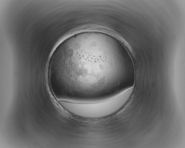 X0000115591530200911171019