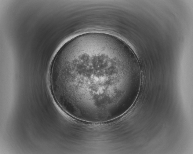 X0000115591531200911171019