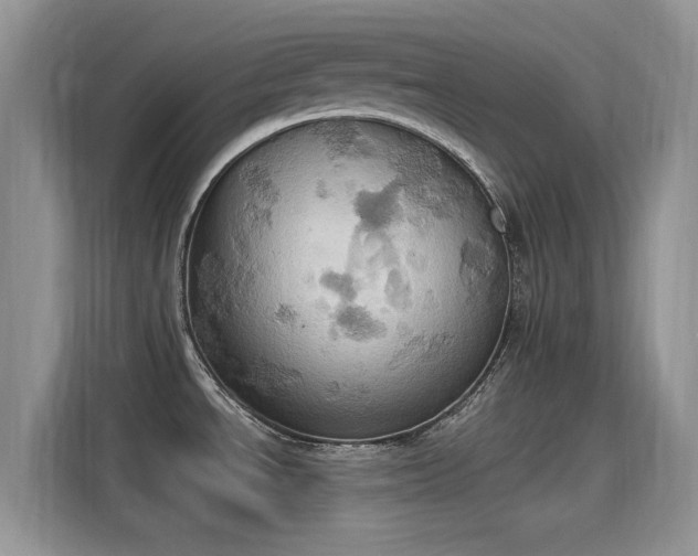 X0000115591534200911171020