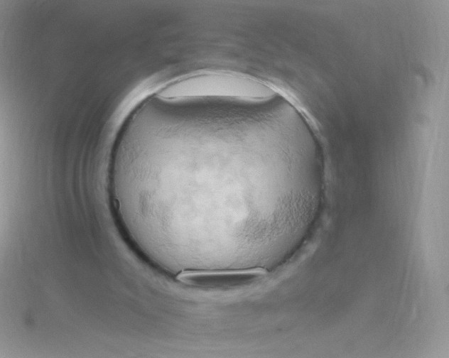 X0000115590007200911241543