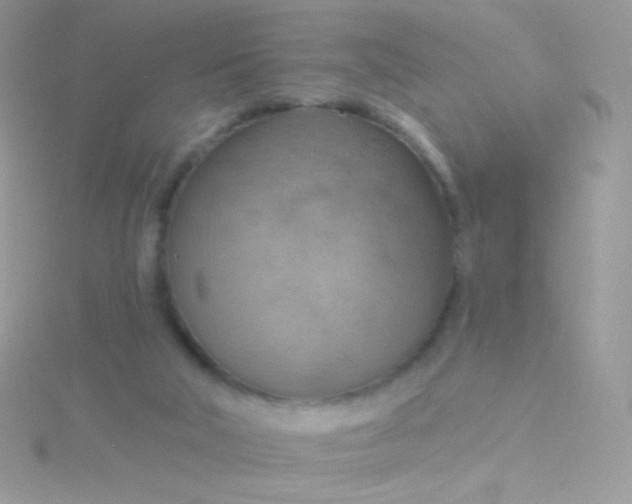 X0000115590018200911241543