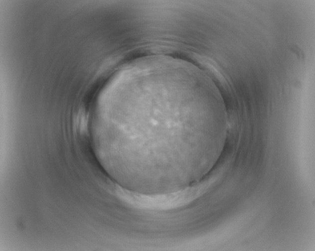 X0000115590046200911241543