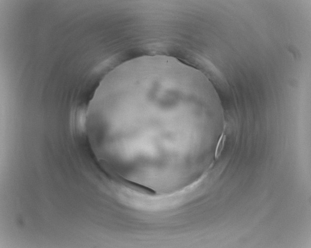 X0000115590047200911241543