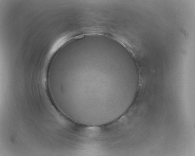X0000115590053200911241542