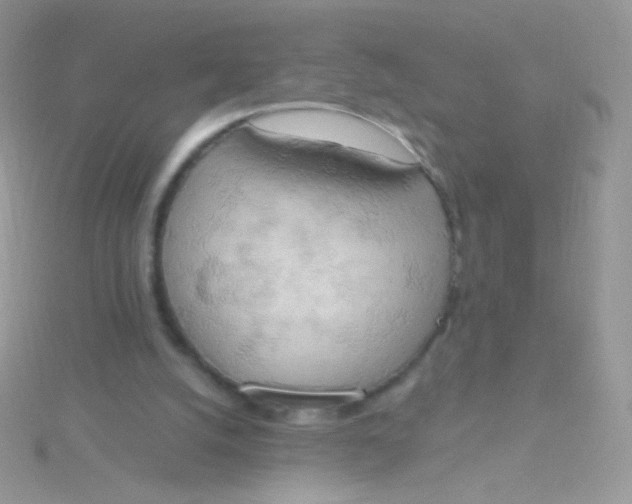 X0000115590056200911241542