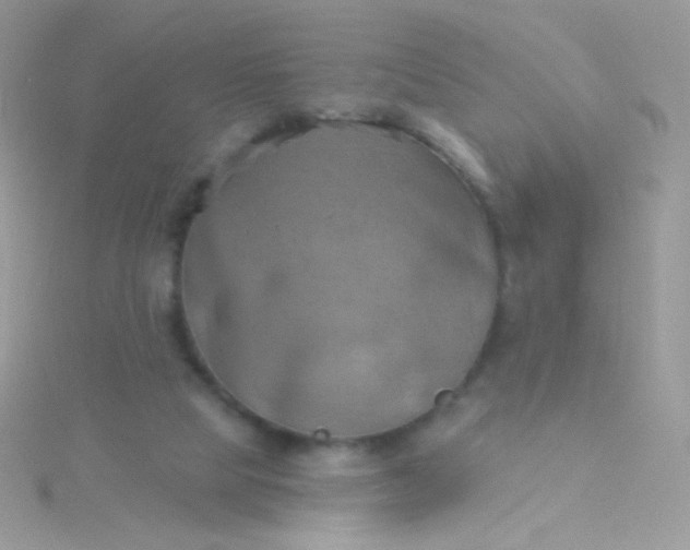 X0000115590065200911241542