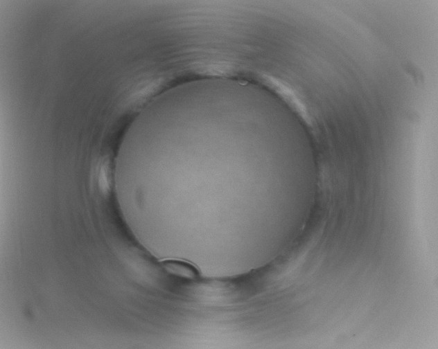 X0000115590069200911241542