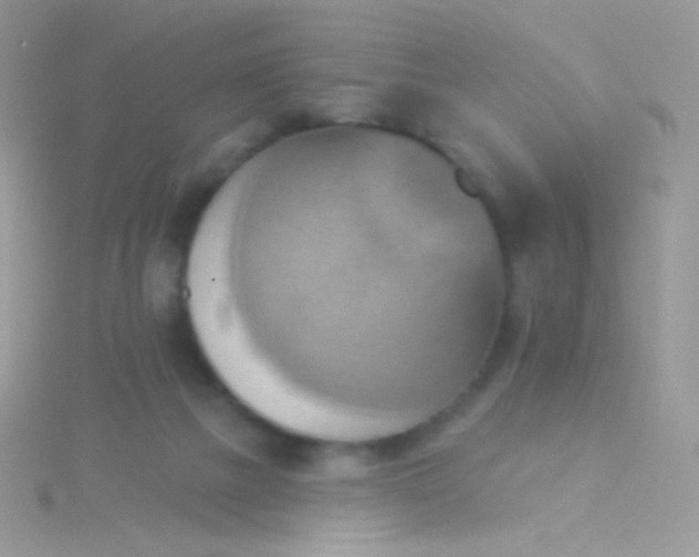 X0000115590073200911241542