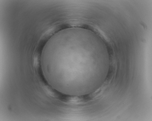 X0000115590074200911241542