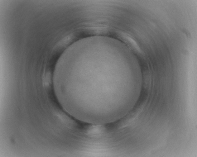 X0000115590077200911241542