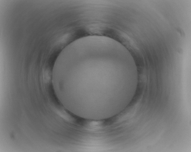 X0000115590081200911241543