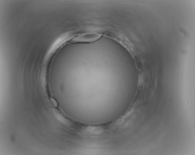 X0000115590101200911241542