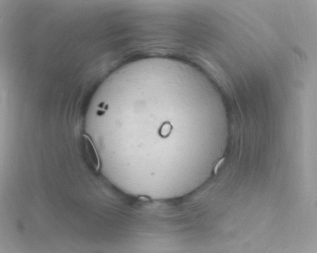 X0000115590125200911241542