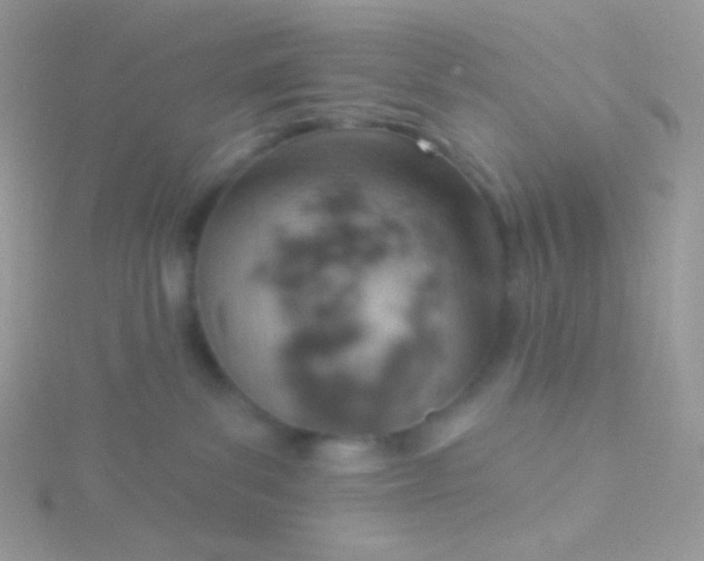 X0000115590139200911241541