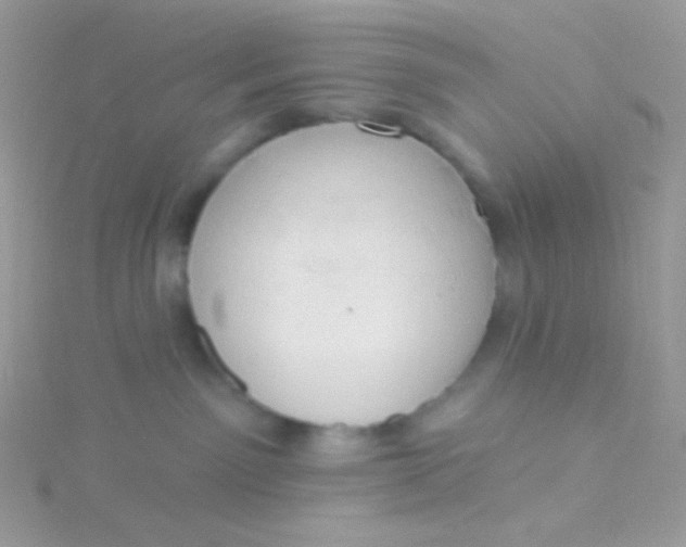 X0000115590141200911241541