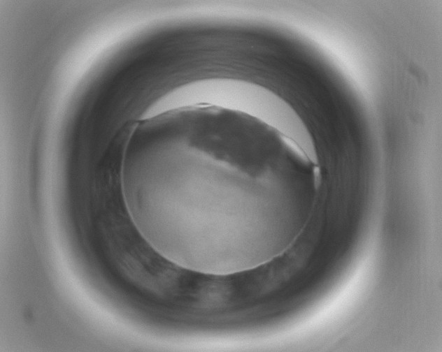 X0000115590143200911241541