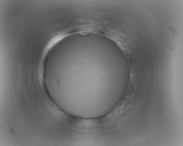 X0000115590149200911241541