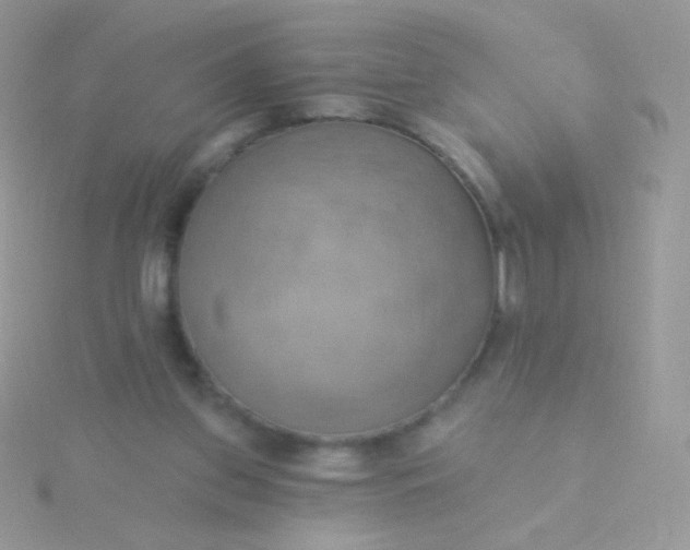 X0000115590157200911241541