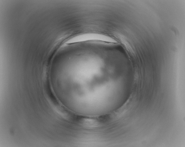 X0000115590167200911241541
