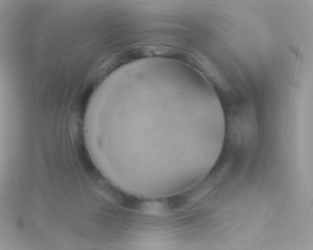 X0000115590169200911241541