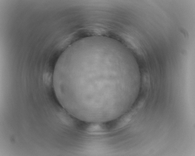 X0000115590177200911241541