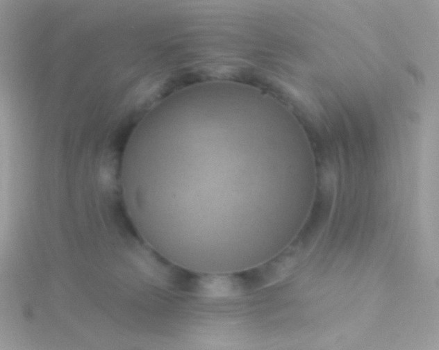 X0000115590181200911241541