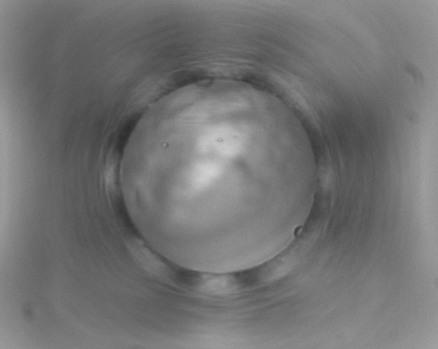 X0000115590185200911241541